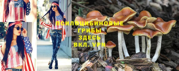 СК Балабаново